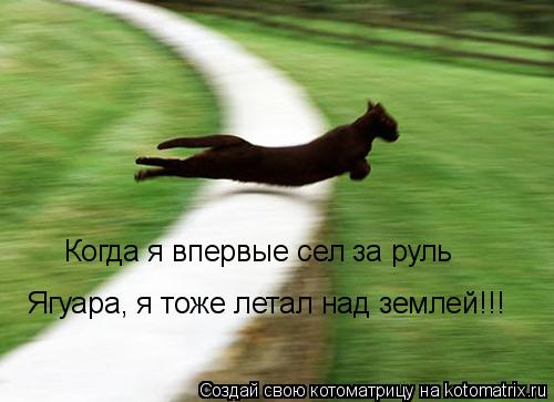 Когда я впервые сел за руль Ягуара, я тоже летал над землей!!!... Котоматрица: Когда я впервые сел за руль Ягуара, я тоже летал над землей!!!