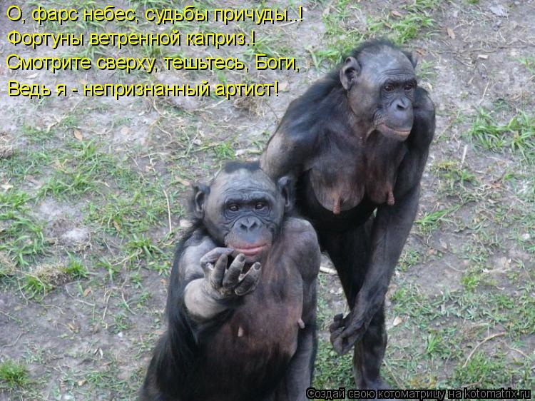 О, фарс небес, судьбы причуды..! Фортуны ветренной каприз.! Смотрите сверху, тешьтесь, Боги, Ведь я -... Котоматрица: О, фарс небес, судьбы причуды..! Фортуны ветренной каприз.! Смотрите сверху, тешьтесь, Боги, Ведь я - непризнанный артист!