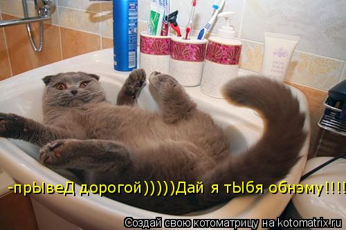 -прЫвеД дорогой)))))Дай я тЫбя обнэму!!!!)))))... Котоматрица: -прЫвеД дорогой)))))Дай я тЫбя обнэму!!!!)))))