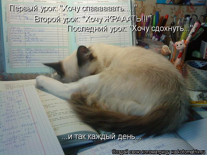 Первый урок: "Хочу спаааааать....." Второй урок: "Хочу ЖРАААТЬ!!!" Последний урок: "Хочу сдохнуть... Котоматрица: Первый урок: "Хочу спаааааать....." Второй урок: "Хочу ЖРАААТЬ!!!" Последний урок: "Хочу сдохнуть...", ...и так каждый день...