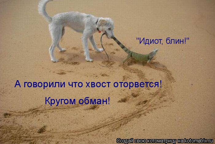 А говорили что хвост оторвется! Кругом обман! "Идиот, блин!"... Котоматрица: А говорили что хвост оторвется! Кругом обман! "Идиот, блин!"