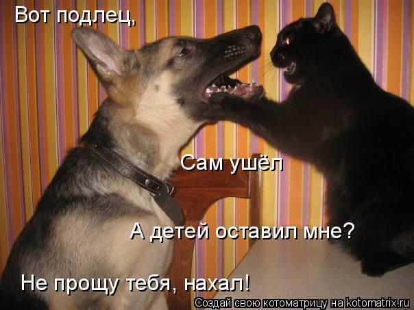 Вот подлец, Сам ушёл А детей оставил мне? Не прощу тебя, нахал!... Котоматрица: Вот подлец, Сам ушёл А детей оставил мне? Не прощу тебя, нахал!