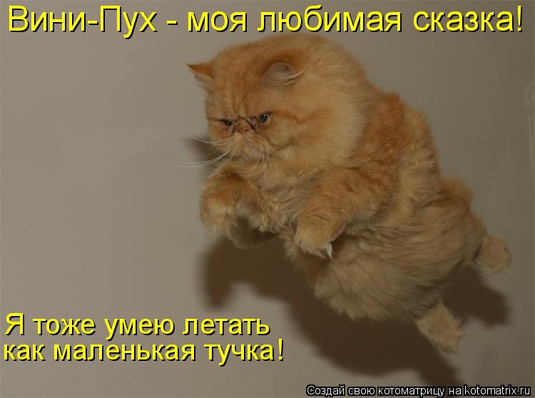 Вини-Пух - моя любимая сказка! Я тоже умею летать как маленькая тучка!... Котоматрица: Вини-Пух - моя любимая сказка! Я тоже умею летать как маленькая тучка!