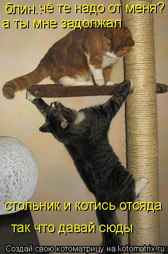 Котоматрица: блин..  чё те надо от меня? а ты мне задолжал так что давай сюды стольник и котись отсяда