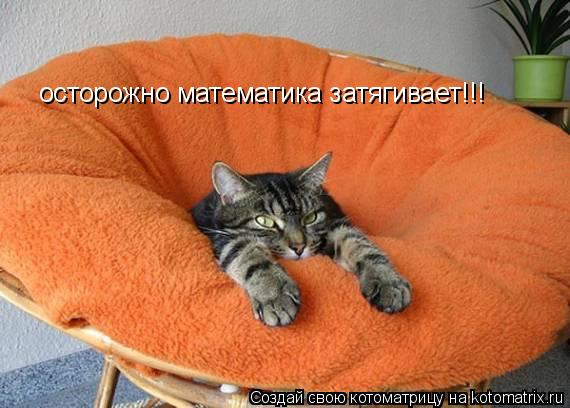 Котоматрица: осторожно математика затягивает!!!