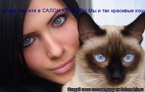 зачем нам ити в САЛОН КРАСОТЫ.Мы и так красивые кошки... Котоматрица: зачем нам ити в САЛОН КРАСОТЫ.Мы и так красивые кошки