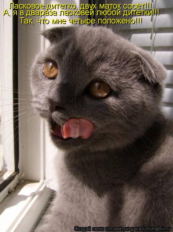 Котоматрица: Ласковое дитетко, двух маток сосёт!!! Так, что мне четыре положено!!! А, я в двараза ласковей любой дитетки!!!