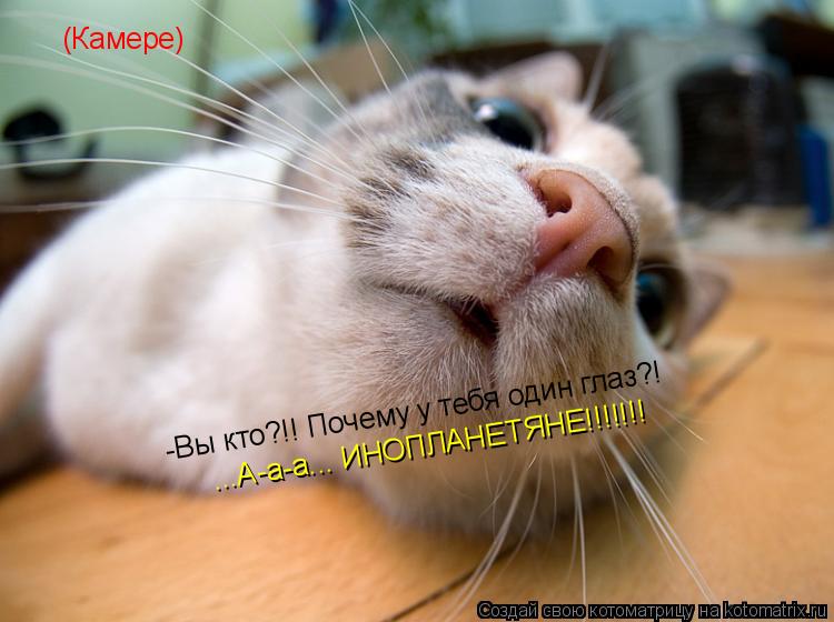 Котоматрица: (Камере) -Вы кто?!! Почему у тебя один глаз?! ...А-а-а... ИНОПЛАНЕТЯНЕ!!!!!!!