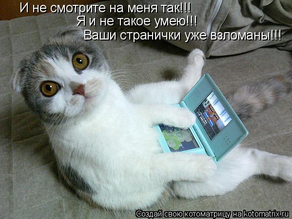 И не смотрите на меня так!!! Я и не такое умею!!! Ваши странички уже взломаны!!!... Котоматрица: И не смотрите на меня так!!! Я и не такое умею!!! Ваши странички уже взломаны!!!