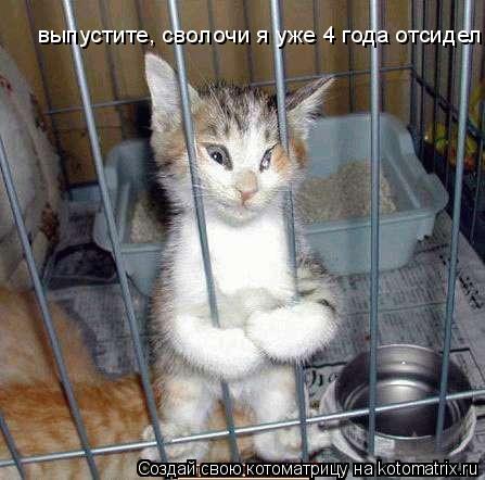 выпустите, сволочи я уже 4 года отсидел... Котоматрица: выпустите, сволочи я уже 4 года отсидел