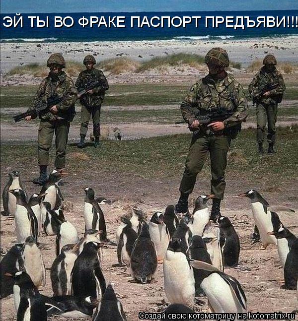 ЭЙ ТЫ ВО ФРАКЕ ПАСПОРТ ПРЕДЪЯВИ!!!!!!... Котоматрица: ЭЙ ТЫ ВО ФРАКЕ ПАСПОРТ ПРЕДЪЯВИ!!!!!!