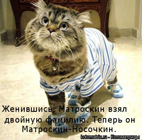 Женившись, Матроскин взял двойную фамилию. Теперь он Матроскин-Носочкин.... Котоматрица: Женившись, Матроскин взял двойную фамилию. Теперь он Матроскин-Носочкин.