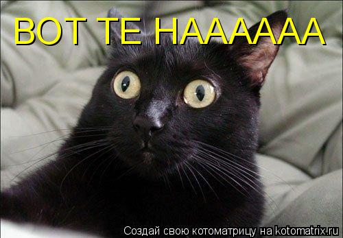 ВОТ ТЕ НАААААА... Котоматрица: ВОТ ТЕ НАААААА