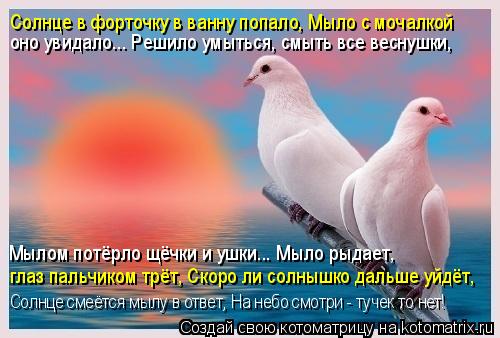 Солнце в форточку в ванну попало, Мыло с мочалкой оно увидало... Решило умыться, смыть все веснушки, ... Котоматрица: Солнце в форточку в ванну попало, Мыло с мочалкой оно увидало... Решило умыться, смыть все веснушки, глаз пальчиком трёт, Скоро ли солнышко да