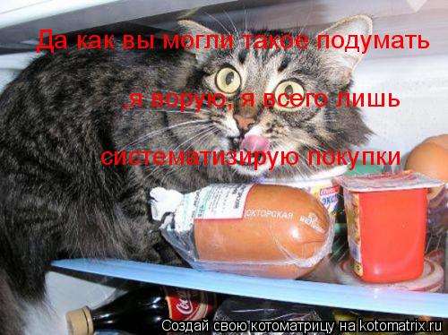 Да как вы могли такое подумать ,я ворую, я всего лишь систематизирую покупки... Котоматрица: Да как вы могли такое подумать ,я ворую, я всего лишь систематизирую покупки