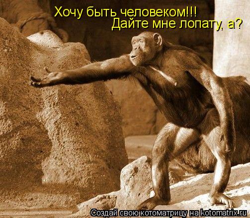 Хочу быть человеком!!! Дайте мне лопату, а?... Котоматрица: Хочу быть человеком!!! Дайте мне лопату, а?