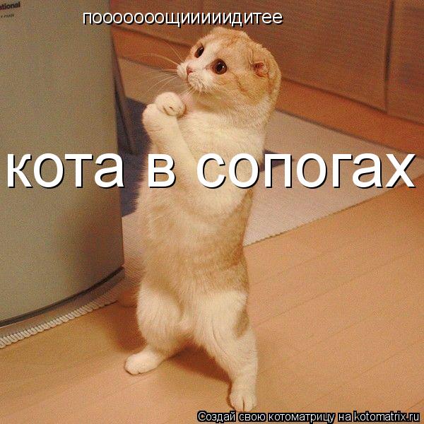 пооооооощииииидитее кота в сопогах... Котоматрица: пооооооощииииидитее кота в сопогах