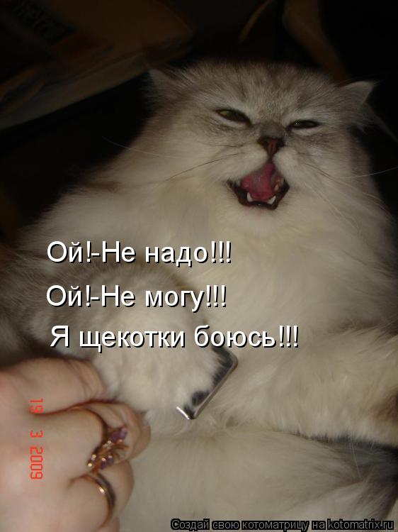 Ой!-Не надо!!! Ой!-Не могу!!! Я щекотки боюсь!!!... Котоматрица: Ой!-Не надо!!! Ой!-Не могу!!! Я щекотки боюсь!!!