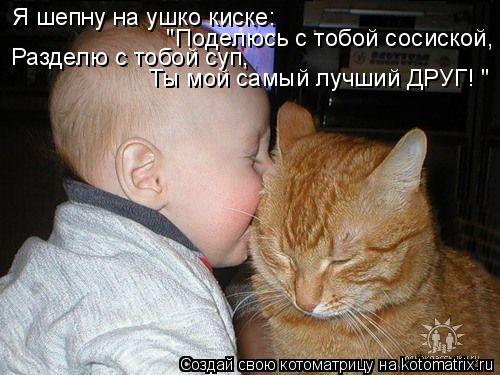 Я шепну на ушко киске: "Поделюсь с тобой сосиской, Разделю с тобой суп, Ты мой самый лучший ДРУГ! "... Котоматрица: Я шепну на ушко киске: "Поделюсь с тобой сосиской, Разделю с тобой суп, Ты мой самый лучший ДРУГ! "