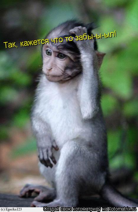 Так, кажется что то забы-ы-ыл!... Котоматрица: Так, кажется что то забы-ы-ыл!
