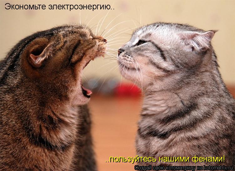 Котоматрица: Экономьте электроэнергию.. ..пользуйтесь нашими фенами!