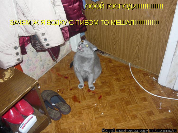 ОООЙ ГОСПОДИ!!!!!!!!!!!!!! ЗАЧЕМ Ж Я ВОДКУ С ПИВОМ ТО МЕШАЛ!!!!!!!!!!!!!... Котоматрица: ОООЙ ГОСПОДИ!!!!!!!!!!!!!! ЗАЧЕМ Ж Я ВОДКУ С ПИВОМ ТО МЕШАЛ!!!!!!!!!!!!!