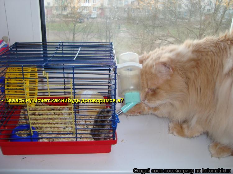 - Вааась,ну может как нибудь договоримся,а?... Котоматрица: - Вааась,ну может как нибудь договоримся,а?