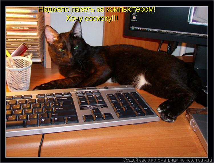 Котоматрица: Надоело лазеть за компьютером! Хочу сосиску!!!