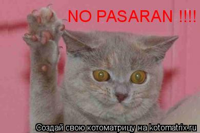 NO PASARAN !!!!... Котоматрица: NO PASARAN !!!!