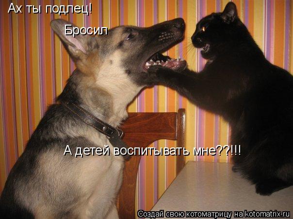 Ах ты подлец! Бросил А детей воспитывать мне??!!!... Котоматрица: Ах ты подлец! Бросил А детей воспитывать мне??!!!