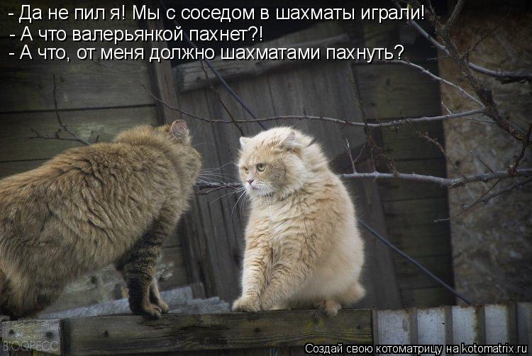 - А что валерьянкой пахнет?! - А что, от меня должно шахматами пахнуть? - Да не пил я! Мы с соседом в... Котоматрица: - А что валерьянкой пахнет?! - А что, от меня должно шахматами пахнуть? - Да не пил я! Мы с соседом в шахматы играли!
