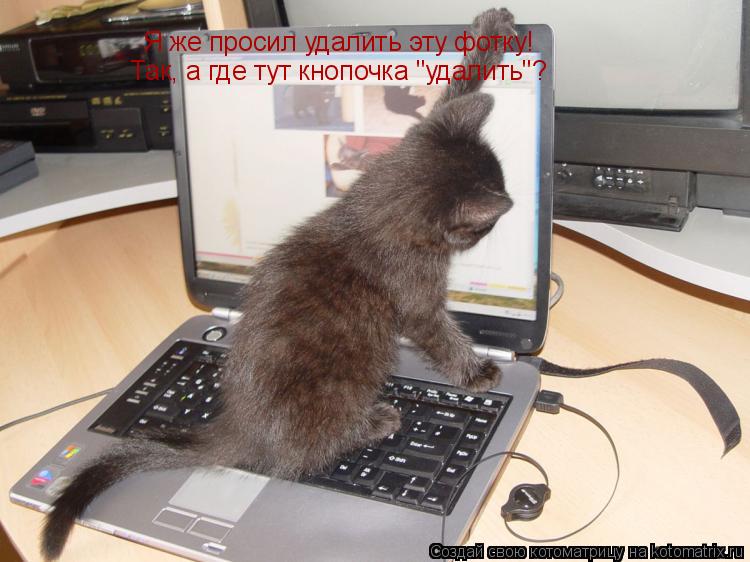 Я же просил удалить эту фотку! Так, а где тут кнопочка "удалить"?... Котоматрица: Я же просил удалить эту фотку! Так, а где тут кнопочка "удалить"?
