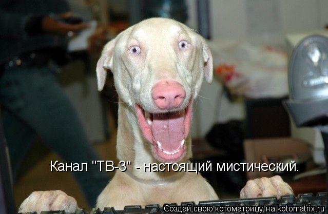 Канал "ТВ-3" - настоящий мистический.... Котоматрица: Канал "ТВ-3" - настоящий мистический.