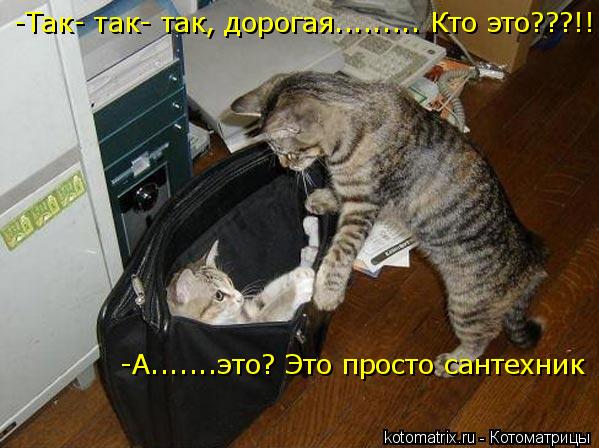 -А.......это? Это просто сантехник -Так- так- так, дорогая......... Кто это???!!!... Котоматрица: -А.......это? Это просто сантехник -Так- так- так, дорогая......... Кто это???!!!