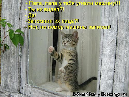- Папа, папа у тебя угнали машину!!! - Ты их видел?! - Да! -Запомнил их лица?! - Нет, но номер машины... Котоматрица: - Папа, папа у тебя угнали машину!!! - Ты их видел?! - Да! -Запомнил их лица?! - Нет, но номер машины записал!