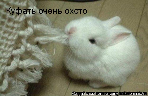 Куфать очень охото... Котоматрица: Куфать очень охото