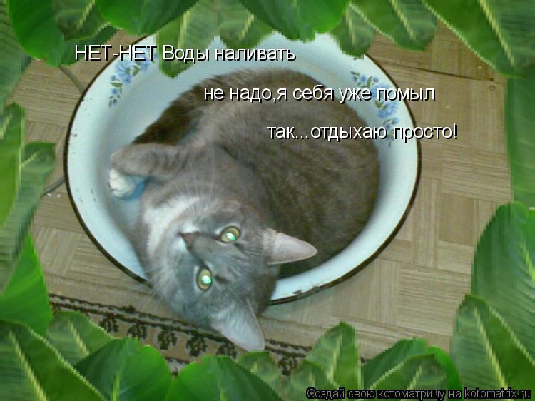 НЕТ-НЕТ Воды наливать не надо,я себя уже помыл так...отдыхаю просто!... Котоматрица: НЕТ-НЕТ Воды наливать не надо,я себя уже помыл так...отдыхаю просто!