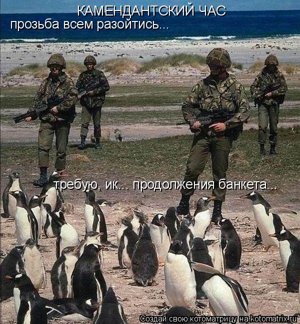 КАМЕНДАНТСКИЙ ЧАС прозьба всем разойтись... требую, ик... продолжения банкета...... Котоматрица: КАМЕНДАНТСКИЙ ЧАС прозьба всем разойтись... требую, ик... продолжения банкета...