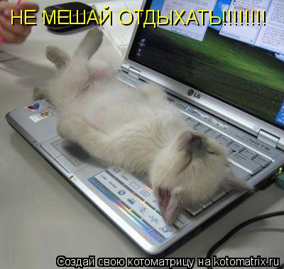 Котоматрица: НЕ МЕШАЙ ОТДЫХАТЬ!!!!!!!!
