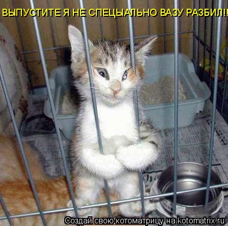 ВЫПУСТИТЕ Я НЕ СПЕЦЫАЛЬНО ВАЗУ РАЗБИЛ!!!... Котоматрица: ВЫПУСТИТЕ Я НЕ СПЕЦЫАЛЬНО ВАЗУ РАЗБИЛ!!!