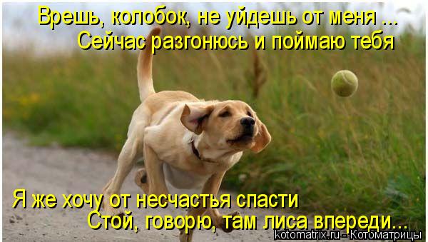 Врешь, колобок, не уйдешь от меня ... Сейчас разгонюсь и поймаю тебя Я же хочу от несчастья спасти ... Котоматрица: Врешь, колобок, не уйдешь от меня ... Сейчас разгонюсь и поймаю тебя Я же хочу от несчастья спасти Стой, говорю, там лиса впереди...