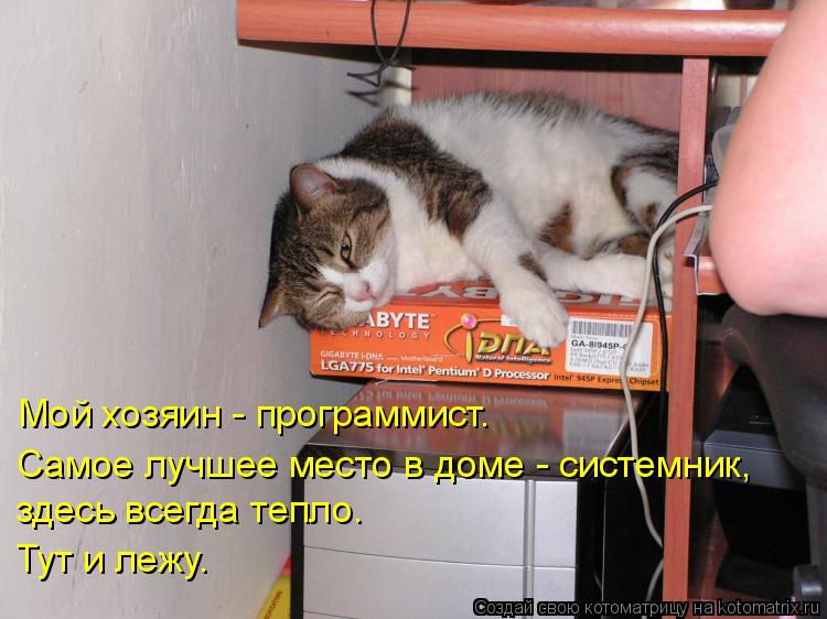 Котоматрица: Мой хозяин - программист. Самое лучшее место в доме - системник, здесь всегда тепло. Тут и лежу.