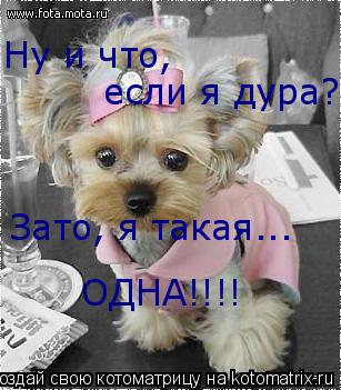 Котоматрица: Ну и что, если я дура? Зато, я такая... ОДНА!!!!