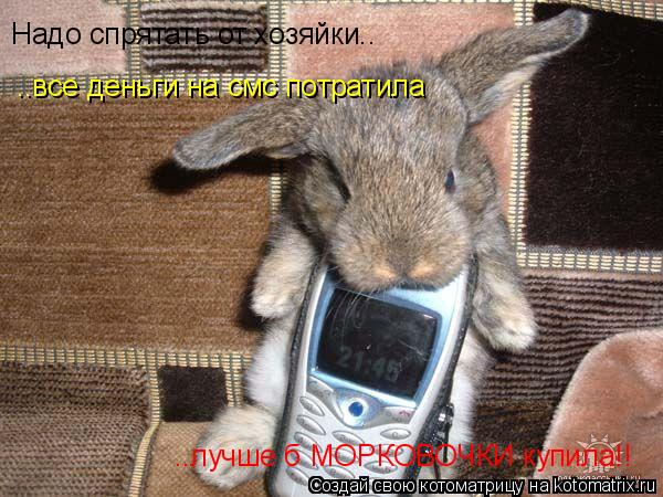 Надо спрятать от хозяйки.. ..все деньги на смс потратила ..лучше б МОРКОВОЧКИ купила!!... Котоматрица: Надо спрятать от хозяйки.. ..все деньги на смс потратила ..лучше б МОРКОВОЧКИ купила!!