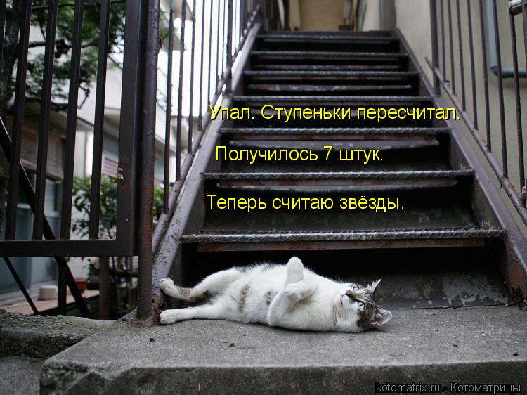 Упал. Ступеньки пересчитал. Получилось 7 штук. Теперь считаю звёзды.... Котоматрица: Упал. Ступеньки пересчитал. Получилось 7 штук. Теперь считаю звёзды.