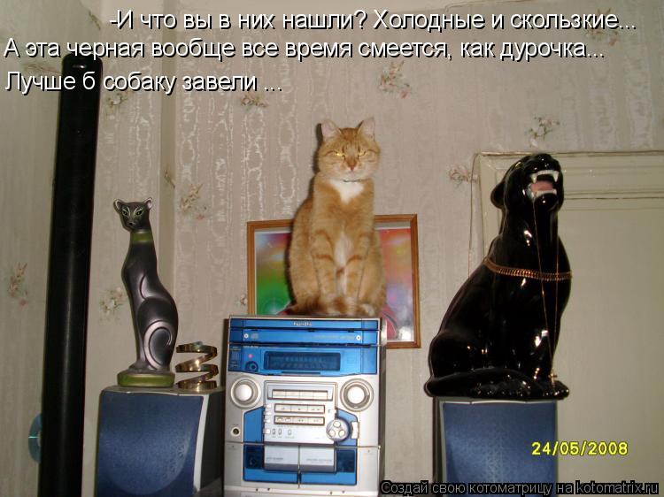 -И что вы в них нашли? Холодные и скользкие... А эта черная вообще все время смеется, как дурочка... ... Котоматрица: -И что вы в них нашли? Холодные и скользкие... А эта черная вообще все время смеется, как дурочка... Лучше б собаку завели ...