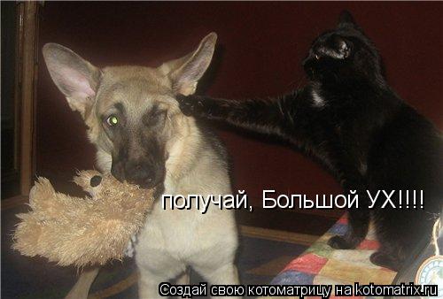 киииииийййййяяяяаааааааааа!!!!!!!! получай, Большой УХ!!!!... Котоматрица: киииииийййййяяяяаааааааааа!!!!!!!! получай, Большой УХ!!!!
