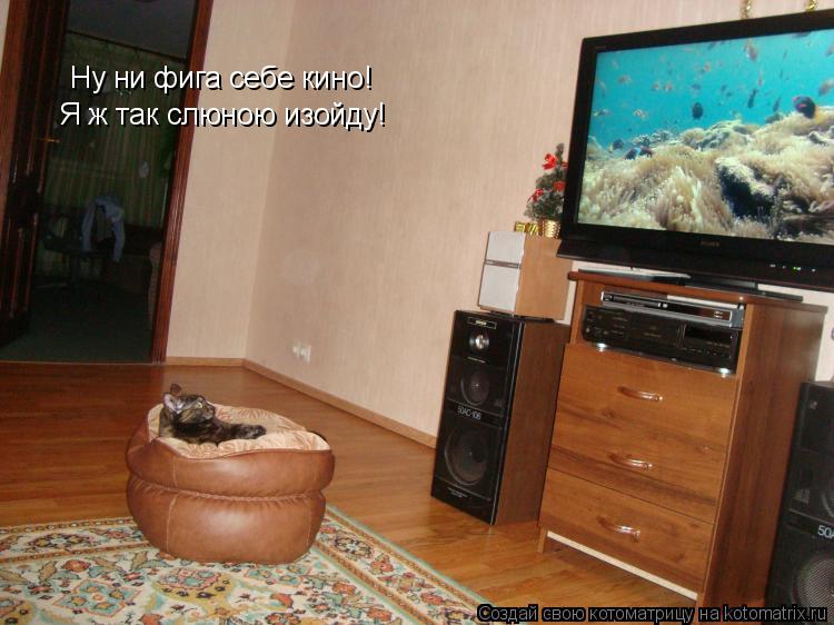 Ну ни фига себе кино! Я ж так слюною изойду!... Котоматрица: Ну ни фига себе кино! Я ж так слюною изойду!