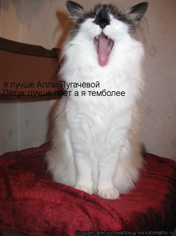я лучше Аллы Пугачёвой Петух лучше поёт а я темболее... Котоматрица: я лучше Аллы Пугачёвой Петух лучше поёт а я темболее