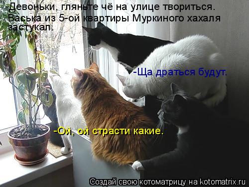 -Девоньки, гляньте чё на улице твориться. Васька из 5-ой квартиры Муркиного хахаля застукал. -Ща драт... Котоматрица: -Девоньки, гляньте чё на улице твориться. Васька из 5-ой квартиры Муркиного хахаля застукал. -Ща драться будут. -Ой, ой страсти какие.